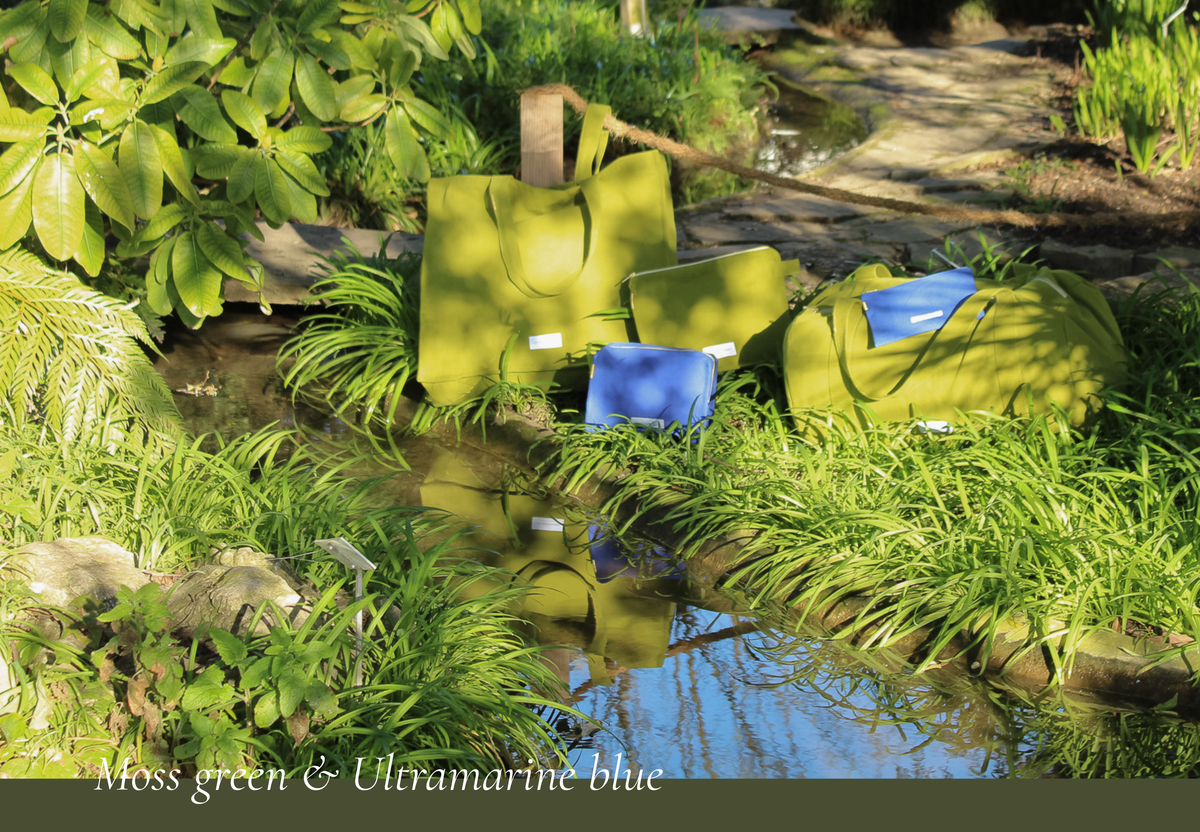 lookbook-desktop-1-vert-et-bleu-en